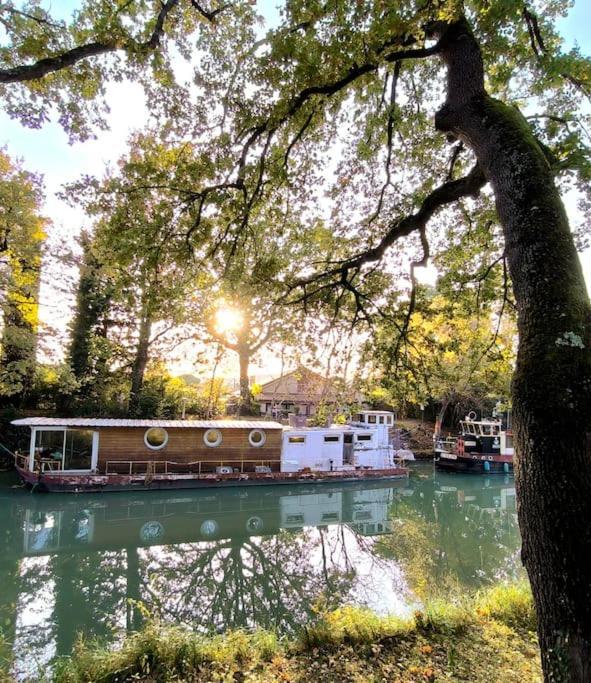 Insolite Peniche Amazonie Canal Du Midi Gardouch Ngoại thất bức ảnh